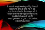 Towards engineering mitigation of leaching of Cd and Pb in co-contaminated soils using metal oxide-based aerogel composites and biochar